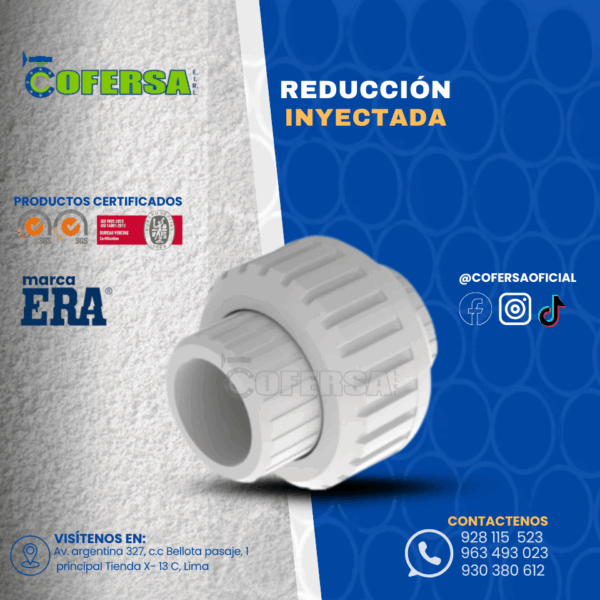 REDUCCIÓN INYECTADA